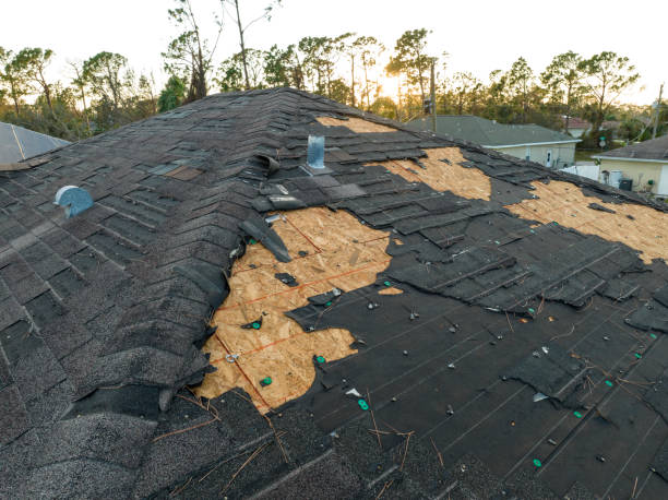 Best Sheet Metal Roofing  in Enosburg Falls, VT