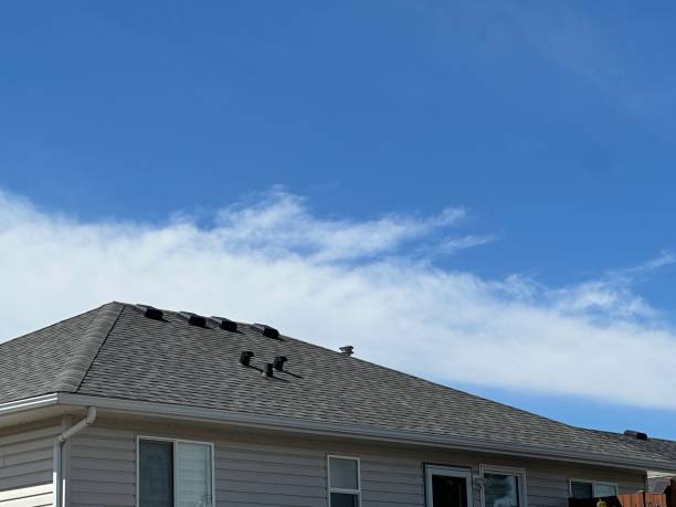 Best Roof Insulation Installation  in Enosburg Falls, VT
